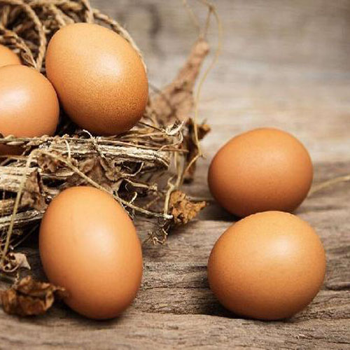telur